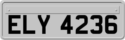 ELY4236