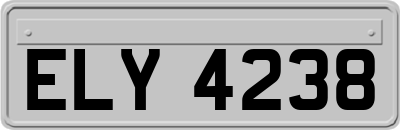 ELY4238
