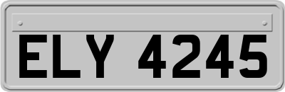 ELY4245