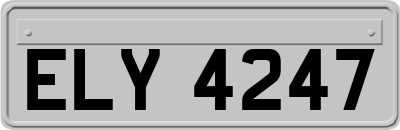 ELY4247