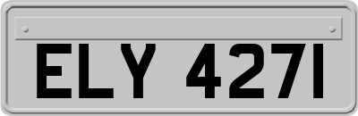 ELY4271