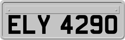 ELY4290
