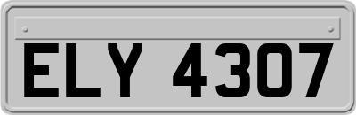 ELY4307