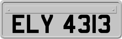 ELY4313