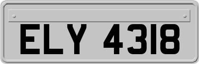 ELY4318