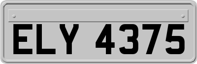 ELY4375