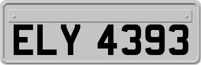 ELY4393