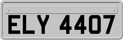 ELY4407