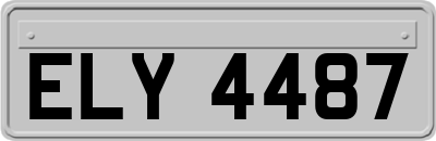 ELY4487
