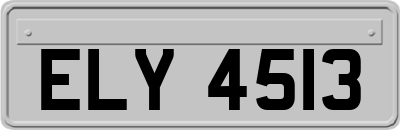 ELY4513