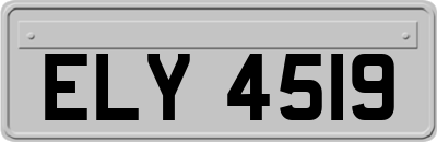 ELY4519