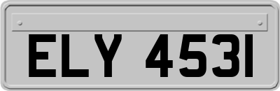 ELY4531