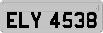 ELY4538