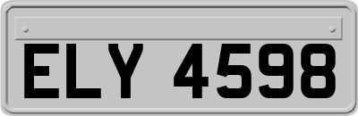 ELY4598