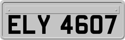 ELY4607