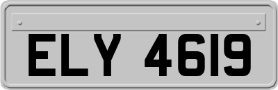 ELY4619