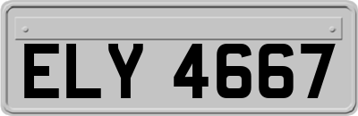 ELY4667