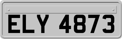 ELY4873