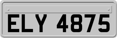 ELY4875