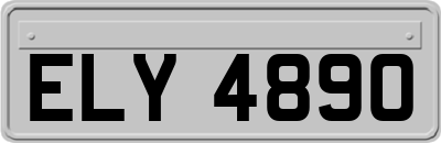 ELY4890