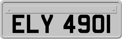 ELY4901