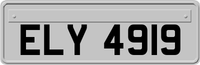 ELY4919