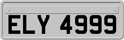 ELY4999