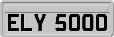 ELY5000
