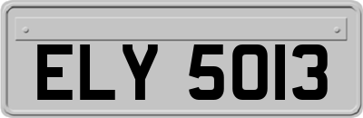 ELY5013