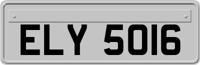 ELY5016