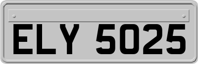 ELY5025
