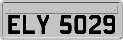 ELY5029