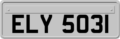 ELY5031