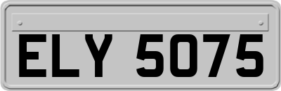 ELY5075