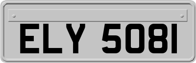 ELY5081