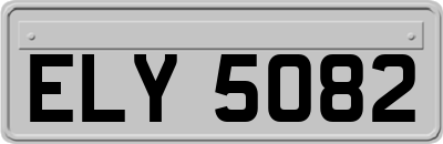 ELY5082