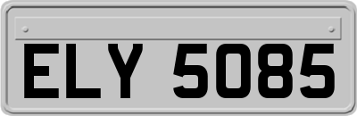 ELY5085