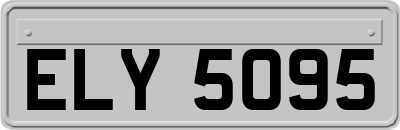 ELY5095