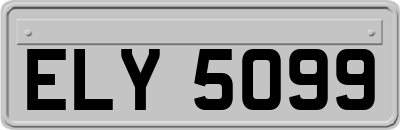 ELY5099