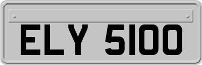 ELY5100