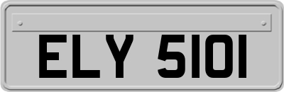 ELY5101