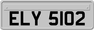 ELY5102