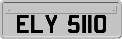 ELY5110