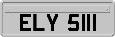 ELY5111