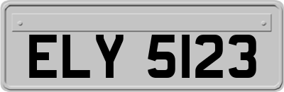 ELY5123