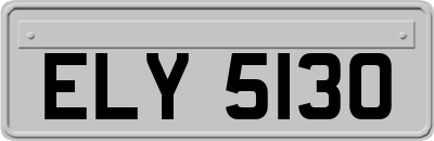 ELY5130