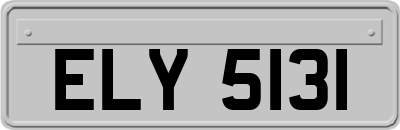 ELY5131