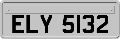 ELY5132