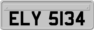ELY5134