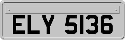 ELY5136